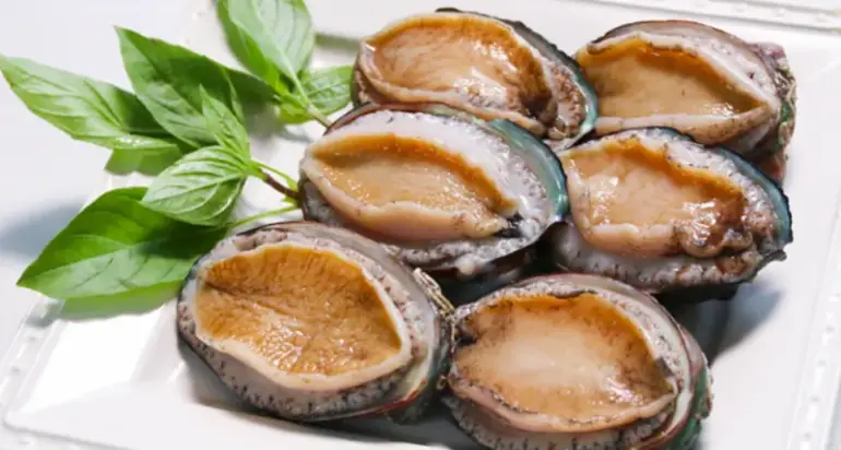 2026 Abalone Market News