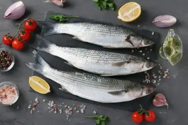 Grey Mullet`s Nutritional