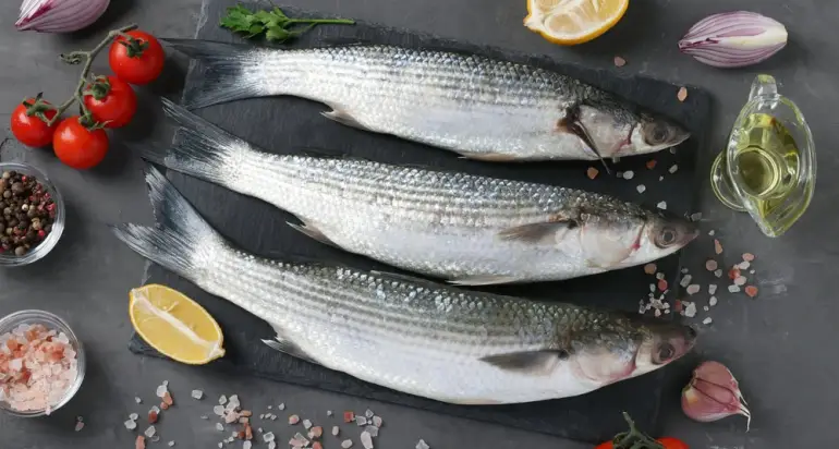 Grey Mullet`s Nutritional