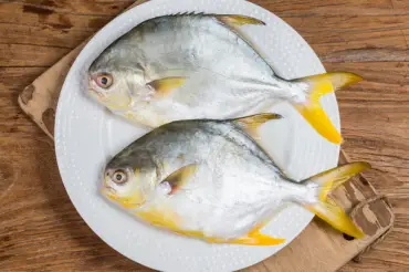 Golden Pomfret`s Nutritional