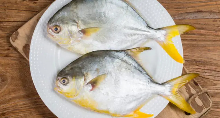 Golden Pomfret`s Nutritional