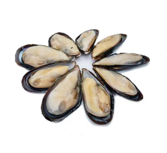 IQF Mussel
