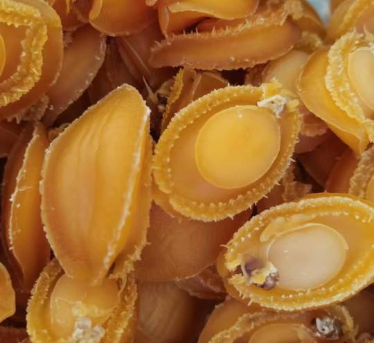 Dried Abalone