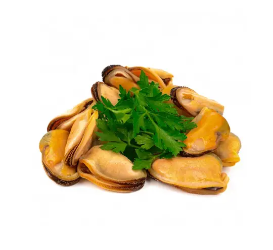 Mussel Meat